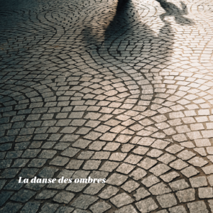 Pochette de l’album « La danse des ombres »