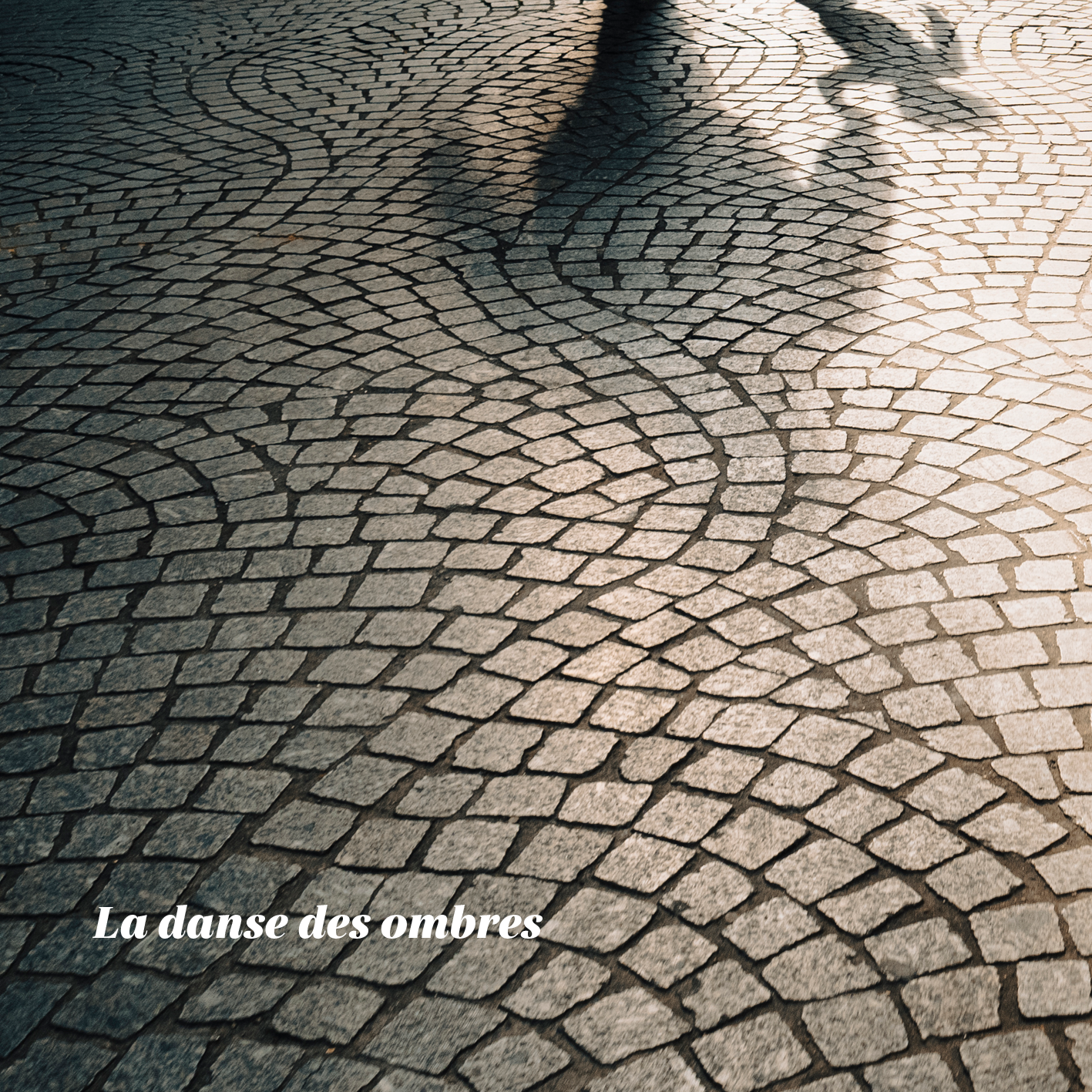 Pochette de l’album « La danse des ombres »