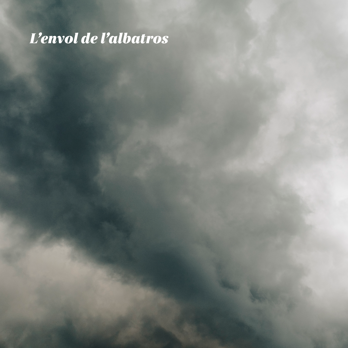 Pochette de l’album « L’envol de l’albatros »
