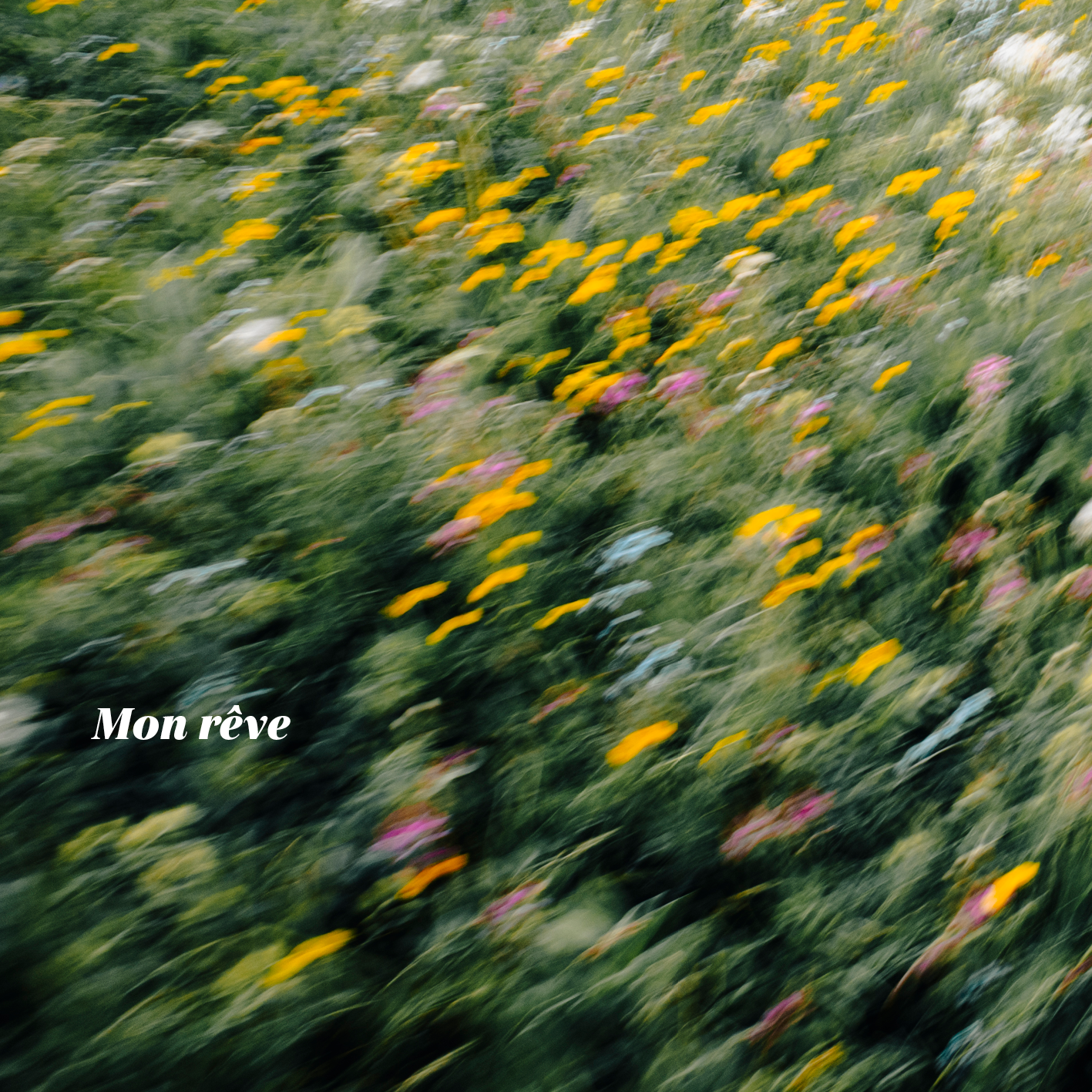 Pochette de l’album « Mon rêve »