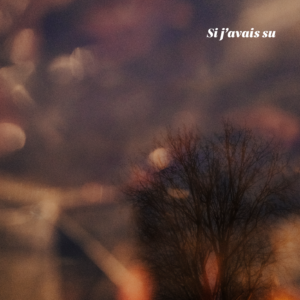 Pochette de l’album « Si j’avais su »