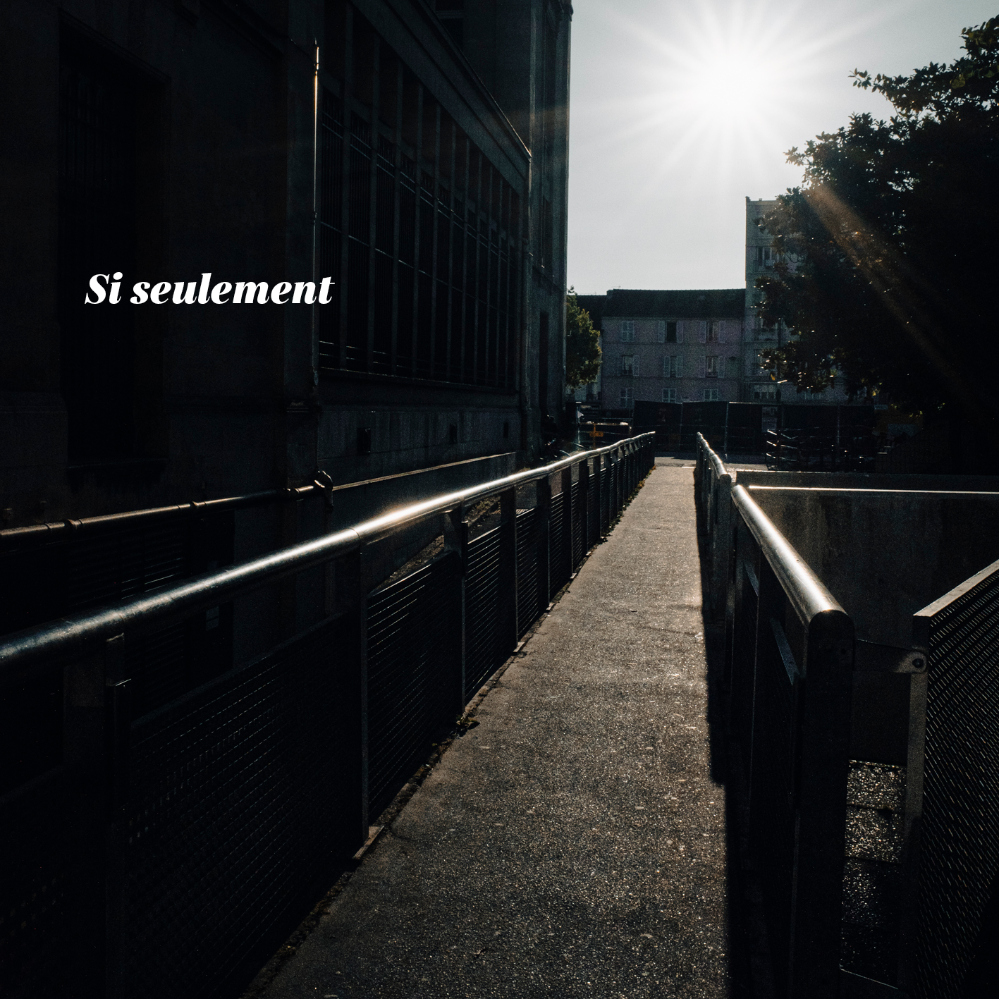Pochette de l’album « Si seulement »
